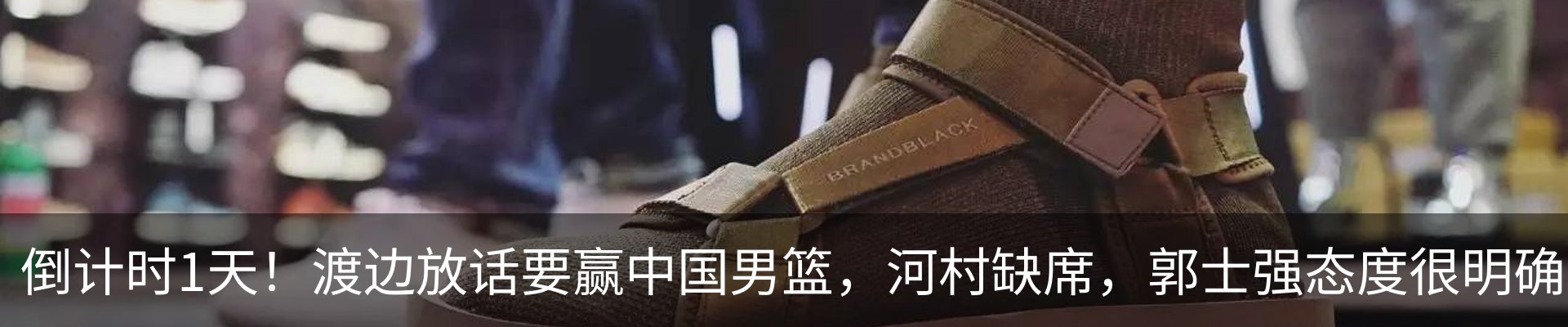 最新动态